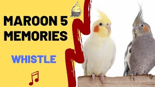 MAROON 5 MEMORIES WHISTLE - Cockatiel Singing Training - Bird Whistle - Parrot Practice