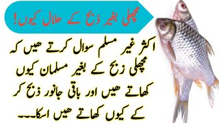 MACHLI ZIBAH Q NHH KRTY / مچھلی بغیر ذبح کے حلال کیوں