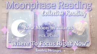 🌙NEW MOON IN ♉️TAURUS🔮COLLECTIVE✨PICK A CARD🔮🧿CHARMS "Where To Focus Now To Achieve Your Desire"☀️🌈🍯