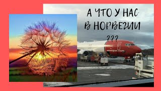 А ЧТО СЕЙЧАС В НОРВЕГИИ / LORA LIFE