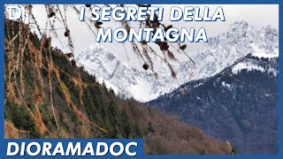 I SEGRETI DELLA MONTAGNA | 🗺️ Val di Scalve | 🎥 ᴅɪᴏʀᴀᴍᴀᴅᴏᴄ | 📺 𝟷𝚡𝟶𝟸