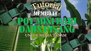 POT MINI DARI DAUN PISANG🍃🌿✨✨ untuk media tanam🌱🌱🌱 Sangat Mudah untuk dipraktikkan