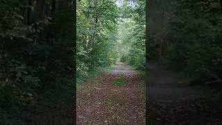 Bike trails  Rondeau Provincial Park