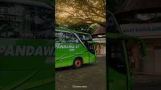 cinematic bus Pandawa 87 camaro