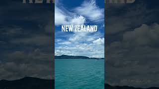 New Zealand Beautiful SEA View In 4K 🏝#shorts #newzealandseabeauty