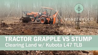 Who wins: Trees/stumps vs Kubota L47 TLB? (004)