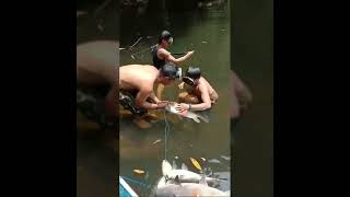 Panen Ikan #mancing #strike #panen #ikan