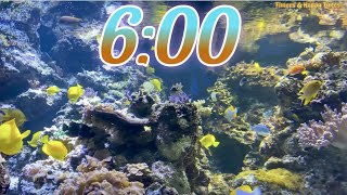 6 Minute Aquarium Timer/Countdown With Relaxing Music 🐟🐠|Cuenta Regresiva de 6 Minutos con Música.