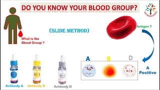 ABO blood typing ll slide method ll #PATHOGENESIS ll #Barman_sir