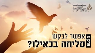 הרב נחמנסון - לבקש סליחה - גם אם לא מתכוונים מכל הלב?