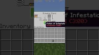 How To Brew Infestation (3:00) Splash Potions In Minecraft #Shorts