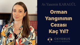 Orman Yangınına Sebep Olma Suçu Ve Cezası