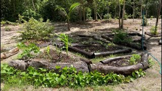 Horta Agroecológica na Areia