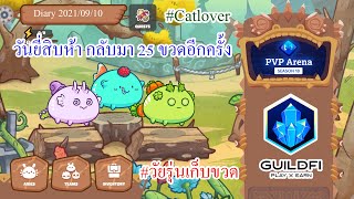 Axie Infinity Diary 2021/09/10 - วันที่ยี่สิบห้า กลับมา 25 ขวดอีกครั้ง