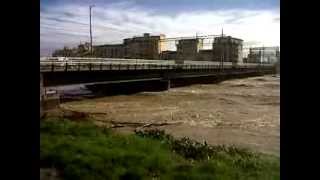 Pisa piena dell'Arno 11/02/2014 parte 1