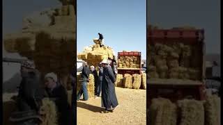 Moroccan Berber Market, Africa Market , Morocco Tours , @moroccoarukikata