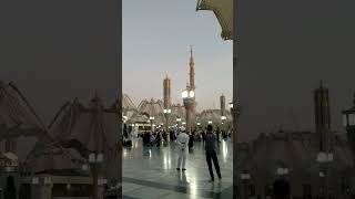 Payung Masjid Nabawi #masjidnabawi #payung #payungmasjidnabawi #madina #makkah #haji #umrah #hajj