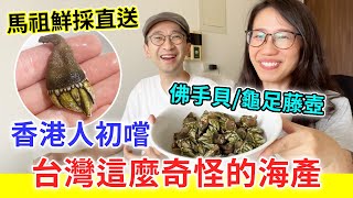 【移民台灣生活】香港人初嚐台灣奇怪海產，馬祖直送佛手貝/龜足藤壺，來自地獄的美味？（含少量合作）｜貓奴與寵物移民紀錄 #領養不棄養