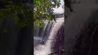 Bhadaiya Kund | Shivpuri Water Fall