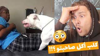 هادا الكلب اكل صاحبتو بدون ملح 😔فيديوهات جميلة 🙂