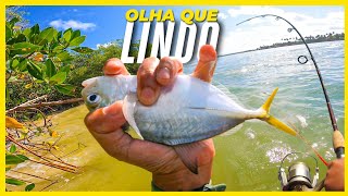 Em meio a tantos peixes Carapicu, saiu esse lindo Xerelete. Pescaria na Ilha da Barra Nova