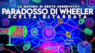 Particelle Diaboliche e PARADOSSI di Wheeler - Scelta Ritardata: La Natura si sente OSSERVATA?