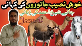 Wo konse kush naseeb janwar hain jo Ambia kiram ki sawari bany ? Zabardast video