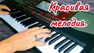 Сен экообуз тундун койнунда..cover KORG PA 700.#тойырлары #тойәндері