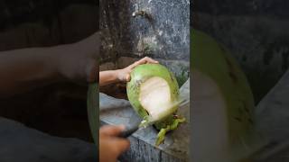 amezing coconut cutting #trending #villagelife #coconutcutting #ytshorts #fruitcutting