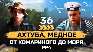 Прокачка С НУЛЯ ● От КОМАРИНОГО до МОРЯ ● 36 серия ● Русская Рыбалка 4