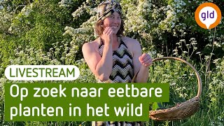 Kijk live mee met een eetbare planten-excursie | BuitenGewoon