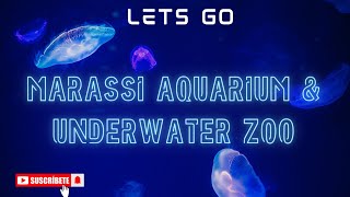 MARASSI AQUARIUM & UNDERWATER ZOO