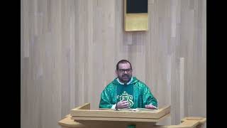 Homily for the 15th Sunday Ordinary Time on the Reading of St. Paul to the Ephesians 1:3-14. Enjoy.