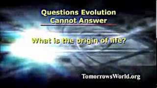 Questions Evolution Cannot Answer - Mr. Richard Ames