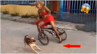 Rebellious Animals 😬😬 || Funny Dog and Cat Reaction Video #66