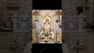 श्री स्वामी समर्थ आजचे स्वामी दर्शन#reels #viral #swamisamarth #youtube #subcribe