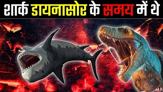 शार्क डायनासोर के समय में थे | Dinosaurs were there in time of Sharks!