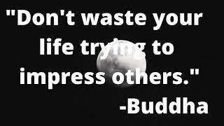 Buddha Quotes||success quotes||Buddha Quotes||Powerful Buddha Quote||Positive Thinking ||