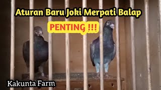 Trending || Peraturan Baru Joki pada balap merpati