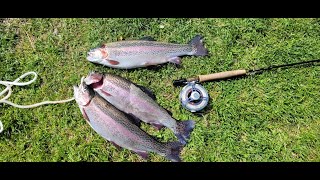 Chalk Springs 3 fish on 2 differant flies, Hardy Aydon 10ft 5wt rod, Great mornings fluff chucking.