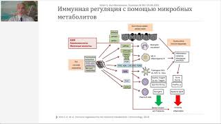 Ситкин С. И. "Микробиота, дисбиоз и ВЗК: причинно-следственная связь или корреляция?"