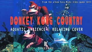 Donkey Kong Country: Aquatic Ambience (Relaxing Cover)