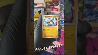 Paldea Evolved#shorts #pokemon #pokemoncards #pokemonunite #pokemongo #pokemontcg #покемоны #karty