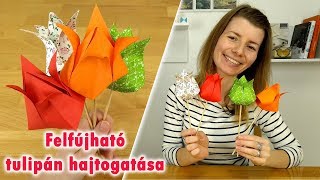 Felfújható papír tulipán hajtogatása | Origami | Manó kuckó