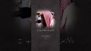 سورة النازعات - الشيخ عكاشة مكيني 🌷 #islam #الاسلام  #explore #الأندلس #سوريا #عكاشة_كميني