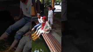 TERAPI IKAN | kaya di gelitikin rasanya..😵😂