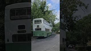 Myall Coaches Dennis Condor HIL 8130@BA03 #shorts #short #shortsvideo #bus #buses #ukbuses #uk