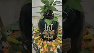 Har Har Mahadev 🔱🕉️🔱🙏 Jai Bholenath Baba 💓🕉️ Om Namah Shivay 🙏🌺