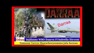 Darraatti haleellaa raawwate,wbon faannoo waxale, UN Ithiopia qeeqe#ethiopa#oromia #gmn#amharicnews