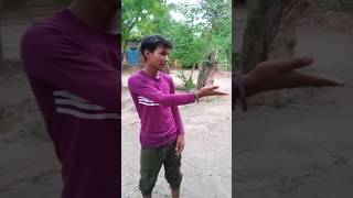 #viral #comedy #funny 😀😀तो भाई तू कौन है ऐसी वीडियो देखने के लिए चैनल कोsuscribe करे 🙏